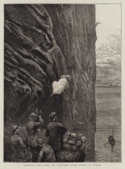 Shooting Sea Fowl on the Bass Rock, Firth of Forth by William Bazett Murray